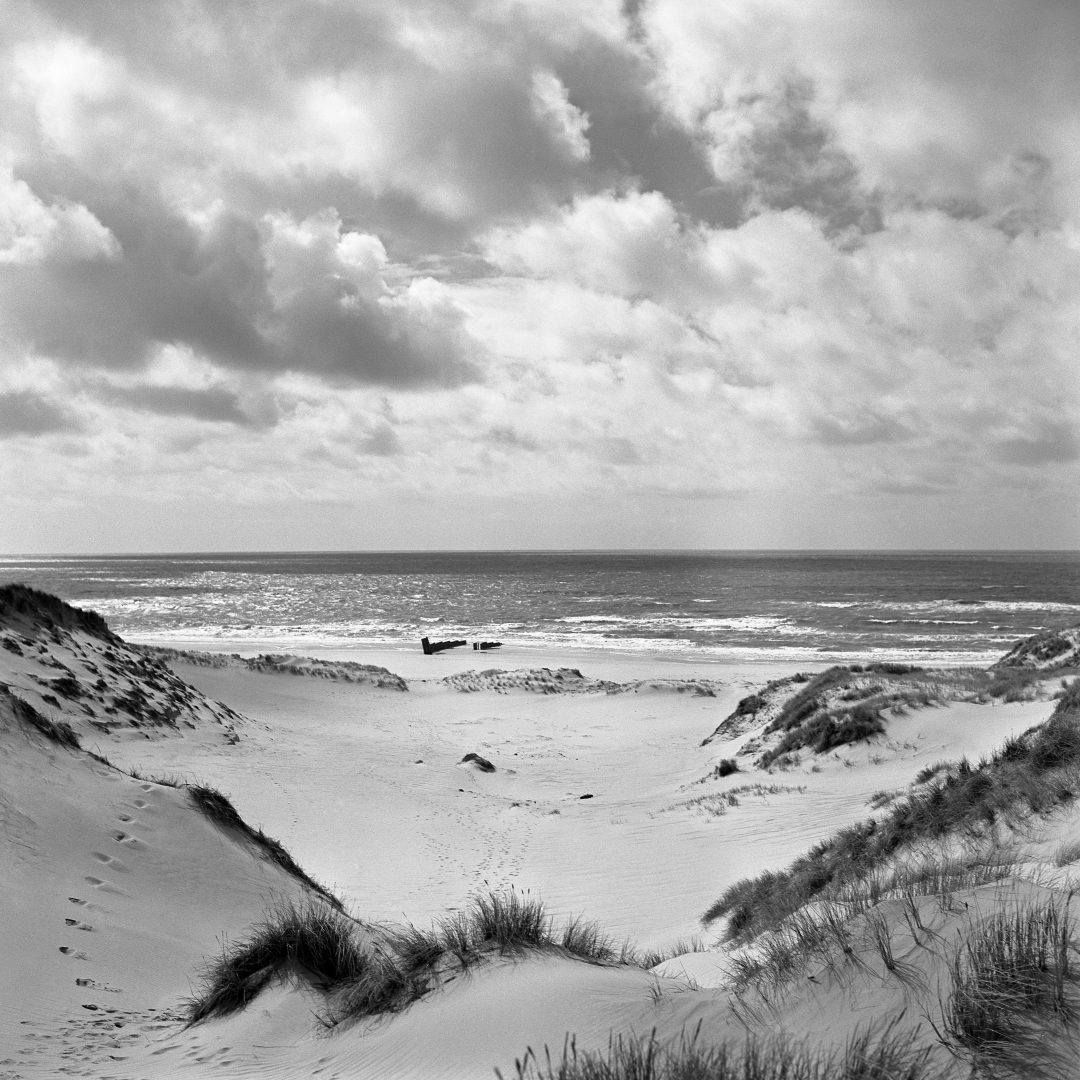 Werk: DUNES V