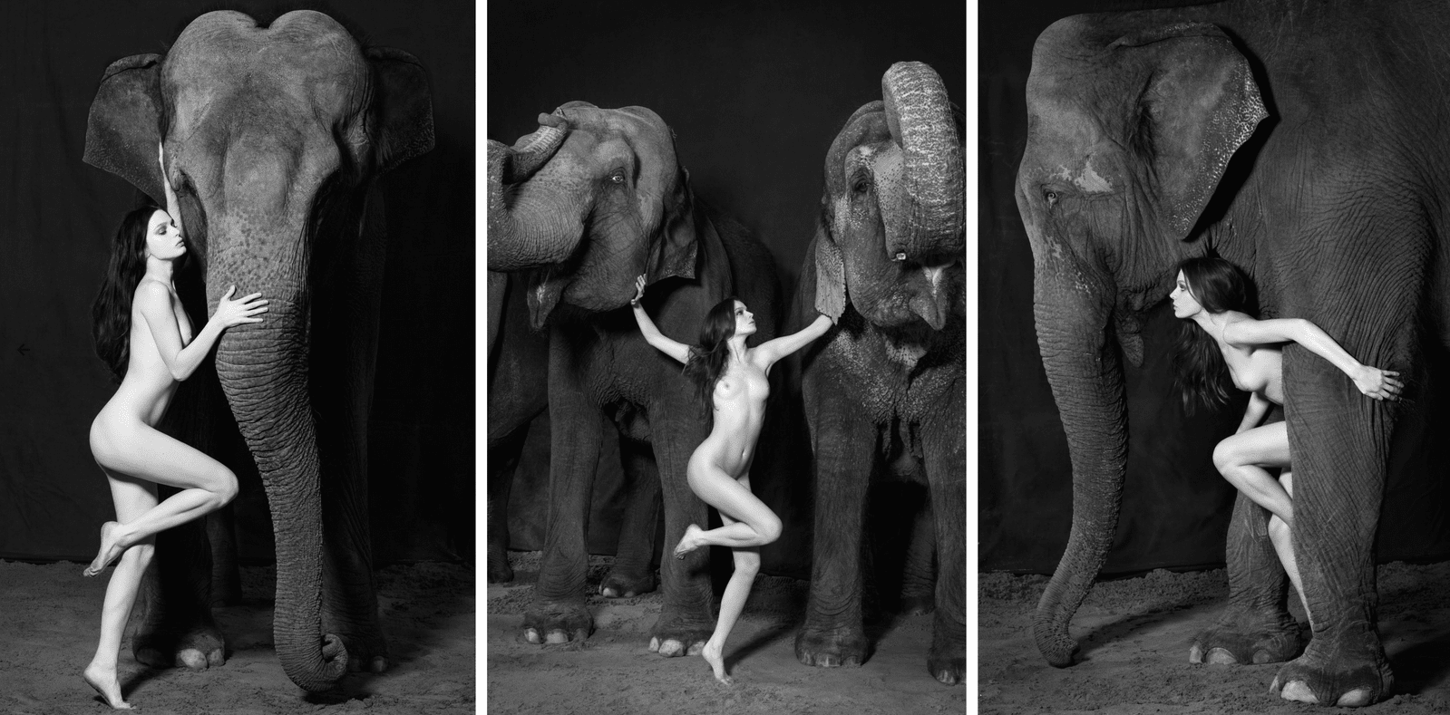 Photos nude The Man Elephant Free Amateur
